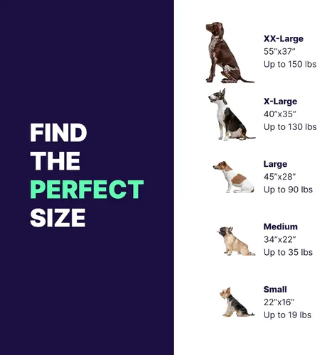 Vista 5 de Cama para perro de espuma ortopédica lavable con memoria de Pet Support Systems, mediana, 34 pulgadas x 22 pulgadas x 4 pulgadas, azul denim