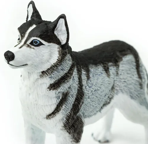 Vista 2 de Safari Ltd. Figura de Husky Siberiano – Figura detallada de plástico de 3.25 pulgadas – Divertido juguete educativo para niños, niñas y niños a