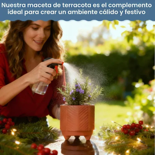 Vista 4 de Fine Living Maceta de terracota de 4 pulgadas con patrón de cheurón para Marrón - Chevro