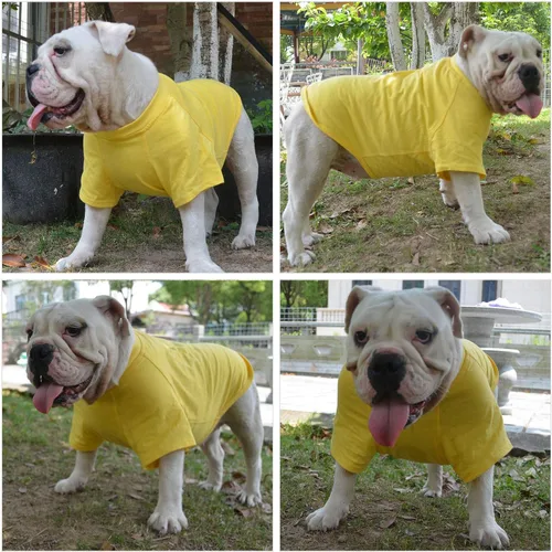 Vista 110 de Lovelonglong 2019 - Ropa para mascotas, Disfraces para Perro, Ropa Camisetas en blanco para Perros Grande Medianos Pequeños 100% Algodón 18