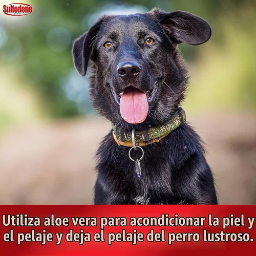 Vista 5 de Farnam Sulfodene Champú y acondicionador medicado para perros 12oz, blanco