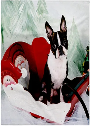 Vista 8 de 3dRose Dogs Boston Terrier – Molly – Boston Terrier – Toalla