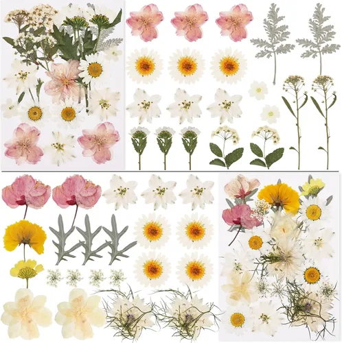 Vista 3 de NESCCI 83 piezas de flores secas para manualidades, flores prensadas secas
