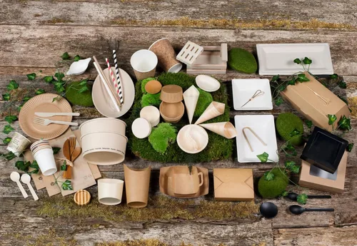 Vista 6 de PacknWood - 210BCHIC1111 - Bio 'n' Chic Plato de caña de azúcar cuadrado blanco pequeño - Platos resistentes - Caña de azúcar compostable