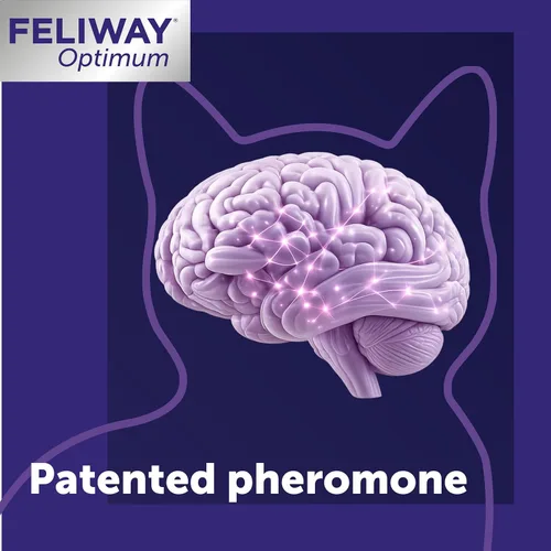 Vista 6 de FELIWAY Optimum - Recambio de difusor calmante para gatos – Recambio de difusor de feromonas para gatos para apoyo avanzado para reducir el estrés