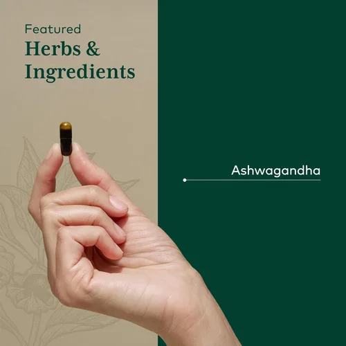 Vista 4 de GAIA HERBS PRO Ashwagandha 700 - Suplemento saludable de apoyo inmunológico* - Fórmula de una sola hierba con Ashwagandha orgánica - Vegano, sin