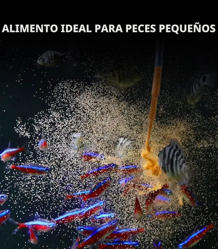 Vista 3 de Acuario DIY Salmuera Camarones Incubadora Hatchery Kit Completo Incluye 26 Piezas Piezas