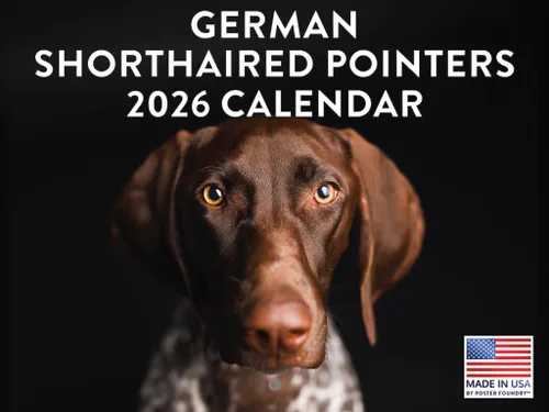 Vista 84 de Calendario mensual de pared Airedale Terrier Dog 2027