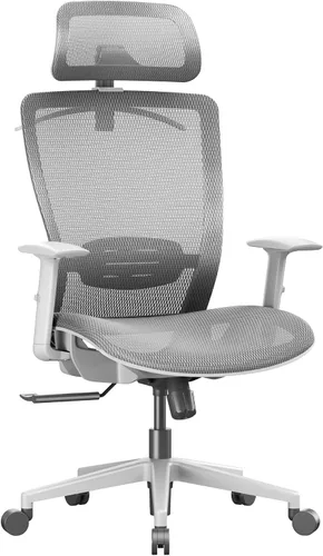 Vista 10 de FLEXISPOT - Silla de oficina ergonómica, sillas de escritorio de malla con respaldo alto y soporte lumbar ajustable, reposacabezas 2D, reclinable