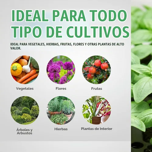Vista 6 de General Hydroponics Floralicious Plus, Vitality Plant Food, 2-0.8-0.5, 16.oz.