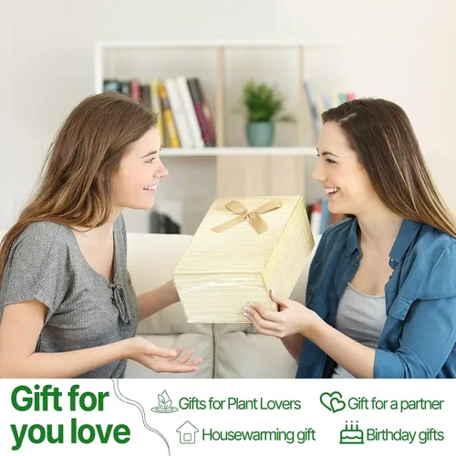 Vista 6 de Estaciones de propagación de plantas, kit de terrario de plantas de corazón, regalo para mujeres, amantes de las plantas, jarrones de vidrio Ámbar