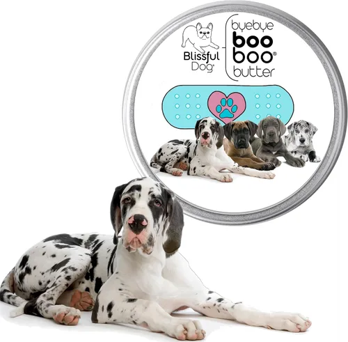 Vista 2 de The Blissful Dog 1 oz TIN Great Dane Booboo Butter