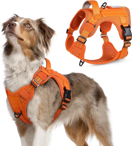 Vista 60 de rabbitgoo Arnés táctico para perros pequeños, chaleco de servicio militar sin tirones con asa y Molle, de fácil control para entrenar y caminar