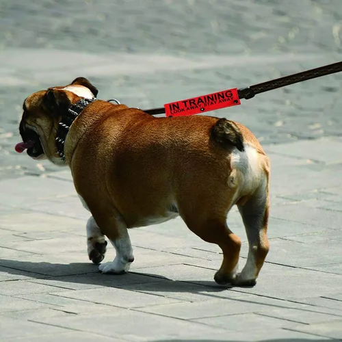 Vista 6 de Funda para correa de perro de servicio en entrenamiento Look Away Stay Away, funda envolvente para correa de perro (manga para llevar lejos)