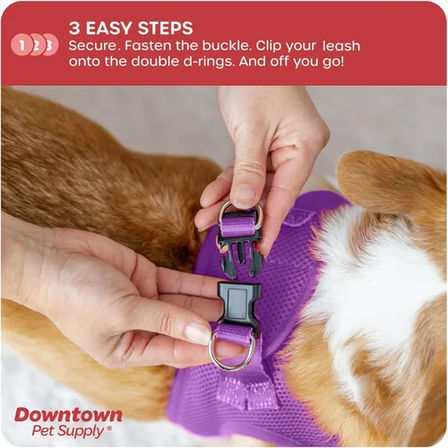 Vista 175 de Downtown Pet Supply Arnés para perro Step-in – Sin tirones, malla acolchada ajustable con ribete reflectante, correa de hebilla segura – Arnés