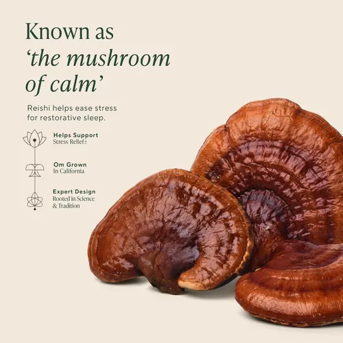 Vista 3 de OM MUSHROOM SUPERFOOD Cápsulas de hongos para dormir, suplemento superalimentario, 90 unidades, 30 días, Reishi, GABA, L-teanina, melatonina