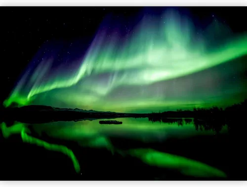 Vista 20 de artgeist Mural de pared Green Pangea de 79 x 55 pulgadas - Papel tapiz no tejido XXL de forro polar para decoración de pared, impresión fotográfica