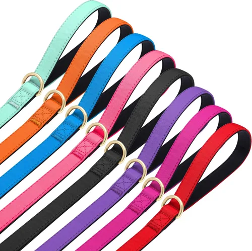 Vista 6 de Didog Correa para perro de nailon colorido de 5 pies con acolchado suave de longitud completa, ligera y duradera para perros pequeños, negro, S