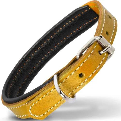 Vista 25 de Filbert Collar de cuero para perro, collar de cuero genuino para perros pequeños, acolchado de lujo, fuerte, ajustable para todas las razas, hebilla