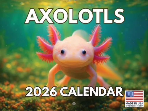 Vista 19 de Calendario mensual de pared de alpaca 2025 Fabricado en Estados Unidos