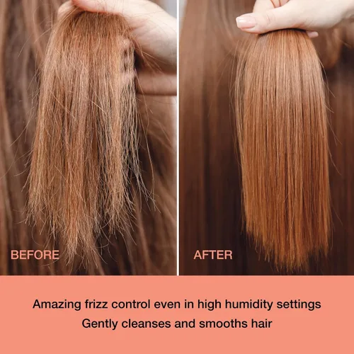 Vista 5 de Ginger Lily Farms Salon Formula FrizzFreeze Pro Champú antiencrespamiento para cabello encrespado, 100% vegano y libre de crueldad, 1 galón