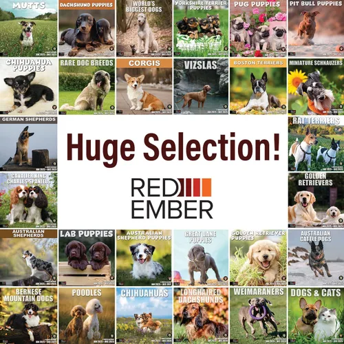 Vista 6 de RED EMBER Chihuahua Puppies 2025 Calendario de pared de 12 meses 12 x 24 pulgadas abierto Papel grueso y resistente Regalo Calendario 2025