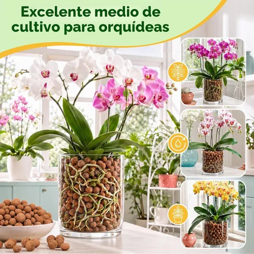 Vista 5 de Riare Guijarros de arcilla de leca orgánica de 2 libras para plantas, bolas