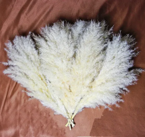 Vista 3 de 10 piezas de decoración de hierba de las pampas beige, hierba de las pampas secas naturalmente, colas de conejo, flores secas y eucalipto seco.