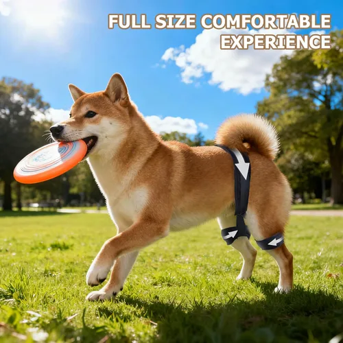 Vista 6 de Soporte de cadera para perro para displasia de cadera, soporte ajustable de cadera para perro con compresión específica, estabiliza