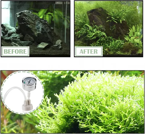Vista 5 de Sistema de plantas para acuario CO2 hágalo usted mismo