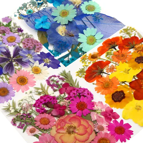 Vista 5 de Kit de 140 hojas de flores secas prensadas para moldes de resina y Blanco Amarillo 140pcs