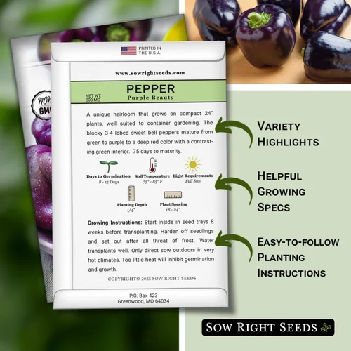 Vista 2 de Sow Right Seeds - Semillas de pimiento Purple Beauty para plantar - Paquete de reliquia sin OMG con instrucciones para plantar y cultivar un huerto