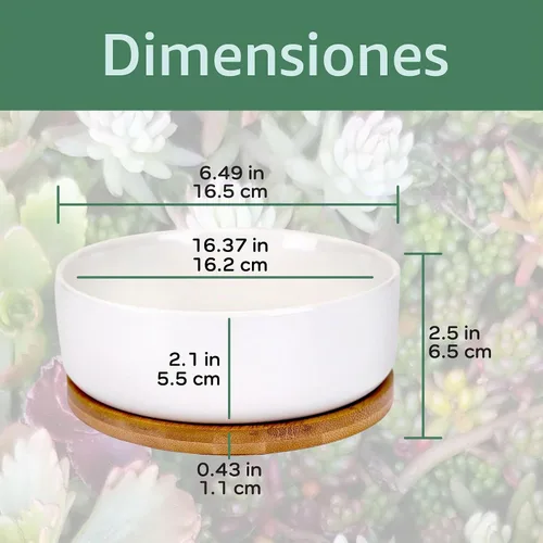 Vista 2 de BambooMN Macetas de cerámica para suculentas, 1 maceta, cuenco redondo, con bandeja de bambú, color blanco, 6.49 pulgadas