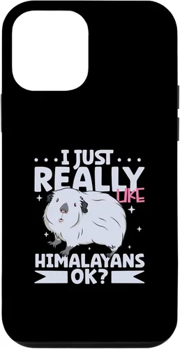 Vista 16 de iPhone 16 I just really like my Himalayan Guinea Pig Case