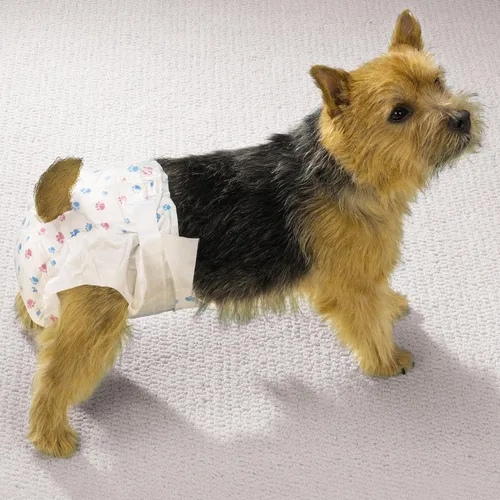 Vista 4 de ClearQuest Pañales desechables para perros, pañales para mascotas superabsorbentes a prueba de fugas