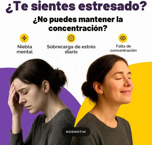 Vista 3 de Apoyo para la calma y el enfoque, tabletas de disolución rápida de ascorbato de litio de 5 mg con vitamina C, B1 y B6, soporte cognitivo