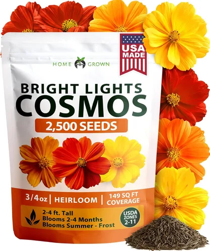 Vista 30 de HOME GROWN Bachelor Button Tall Mix 700+ Semillas de flores Centaurea