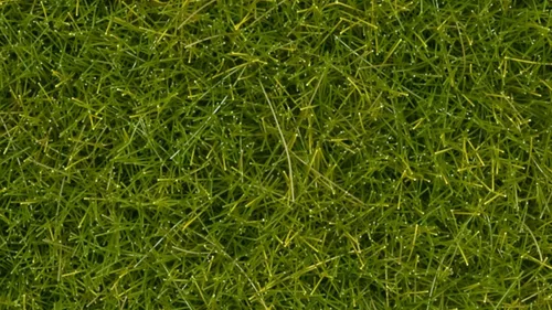 Vista 2 de Noch 7112 Wild Grass XL Lt Grn 1.41 oz Escala 0,H0