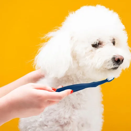 Vista 4 de 3pcs PET Toothbrushes Double Head Design Long Handle for Dog Oral Care