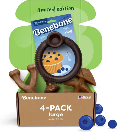 Vista 22 de Benebone - Paquete de 2 juguetes masticables duraderos para perros, diseño Maplestick/Zaggler, tocino real, madera de arce real, fabricados