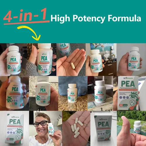 Vista 5 de inGreens Palmitoiletanolamida 4 en 1 de alta potencia, suplemento de guisante de 700 mg para hombres y mujeres, fabricado en Estados Unidos, 60