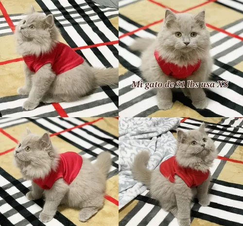 Vista 3 de Camisas para perros, ropa para mascotas, ropa en blanco, 3 piezas, chaleco para cachorros, ropa para gatos, chalecos de algodón suave