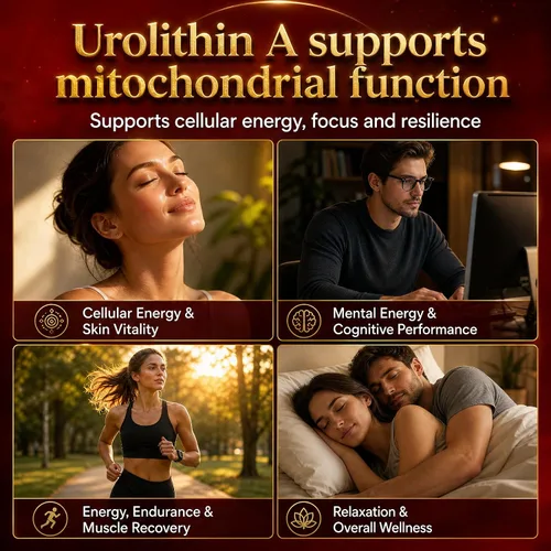 Vista 11 de Urolithin A Complex Supplement Softgels, 120 Count