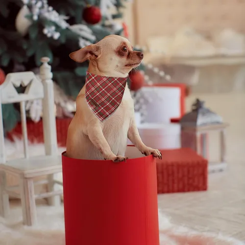 Vista 6 de MR. CHUBBYFACE - Bandana de Navidad para perro, bufanda lavable a cuadros de Navidad para cachorros, bandana ajustable para mascotas para perros