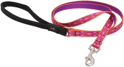 Vista 5 de LupinePet Originals Alpen Glow - Correa de mango acolchado de 1 pulgada para perros medianos y grandes