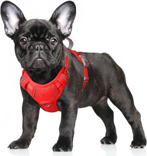 Vista 28 de BARKBAY Arnés para Perro Sin Tirones Talla Grande Arnés Reflectante para Perro con Clip Frontal y Asa de Control Fácil para Caminar Entrenar Correr