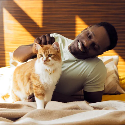 Vista 13 de Golosinas Temptations clásicas para gatos, empaque múltiple