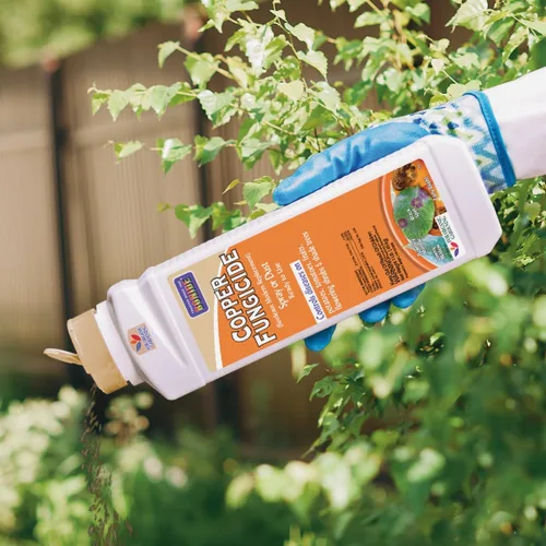 Vista 3 de Bonide Fungicida de Cobre, 1 lb. Aerosol o Polvo Listo para Usar para Jardinería Orgánica, Controla Enfermedades Comunes en Césped y Jardín