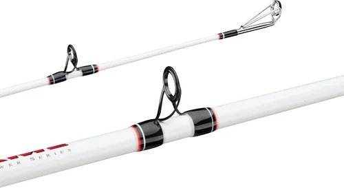 Vista 2 de Berkley - Caña de pescar Big Game Casting