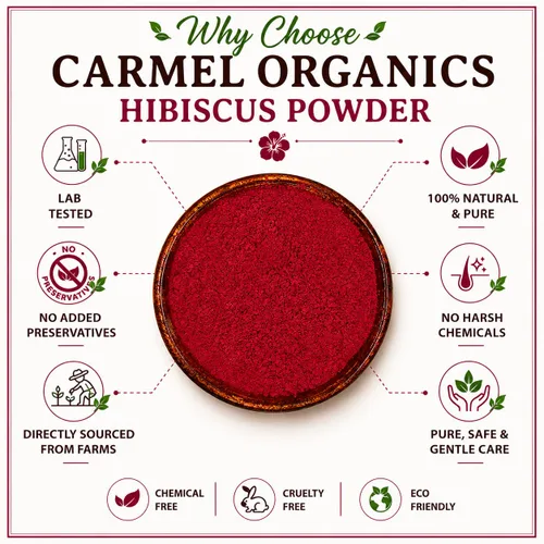 Vista 3 de CARMEL ORGANICS Pétalos de hibisco en polvo, 8 onzas o 0.5 libras (paquete de 1) Certificado USDA orgánico Sin OMG y sin gluten Rico